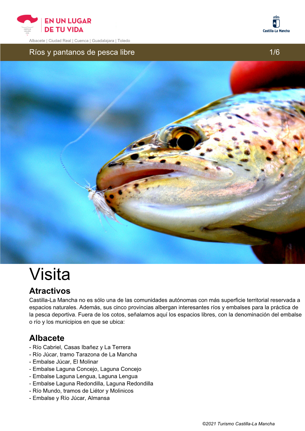 Descargar Guía De Viaje Ríos Y Pantanos De Pesca Libre