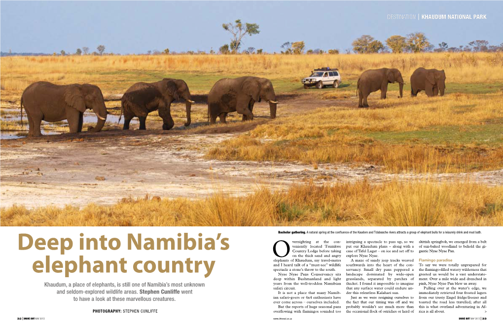 Deep Into Namibia's Elephant Country