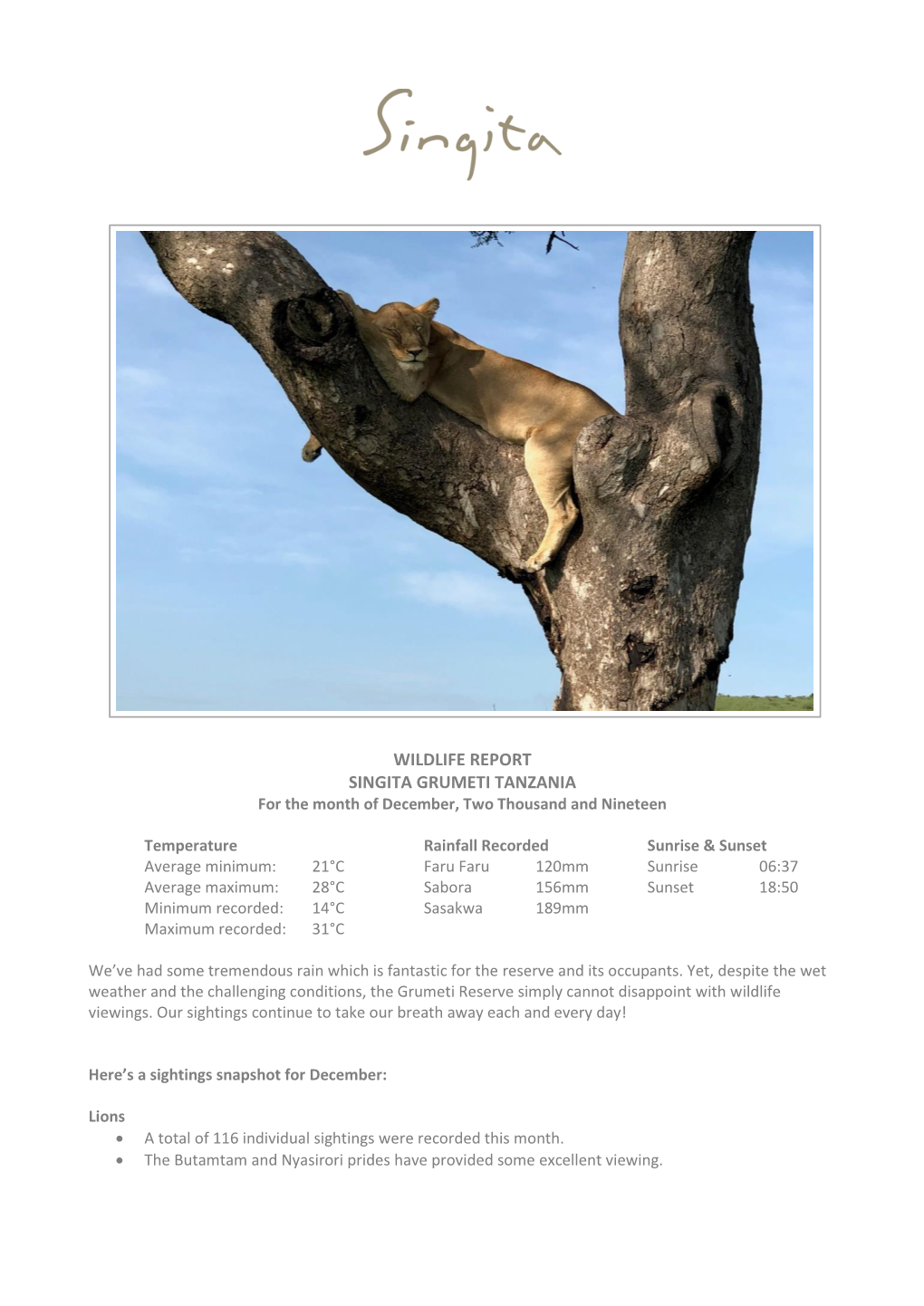 WILDLIFE REPORT SINGITA GRUMETI TANZANIA for the Month of December, Two Thousand and Nineteen