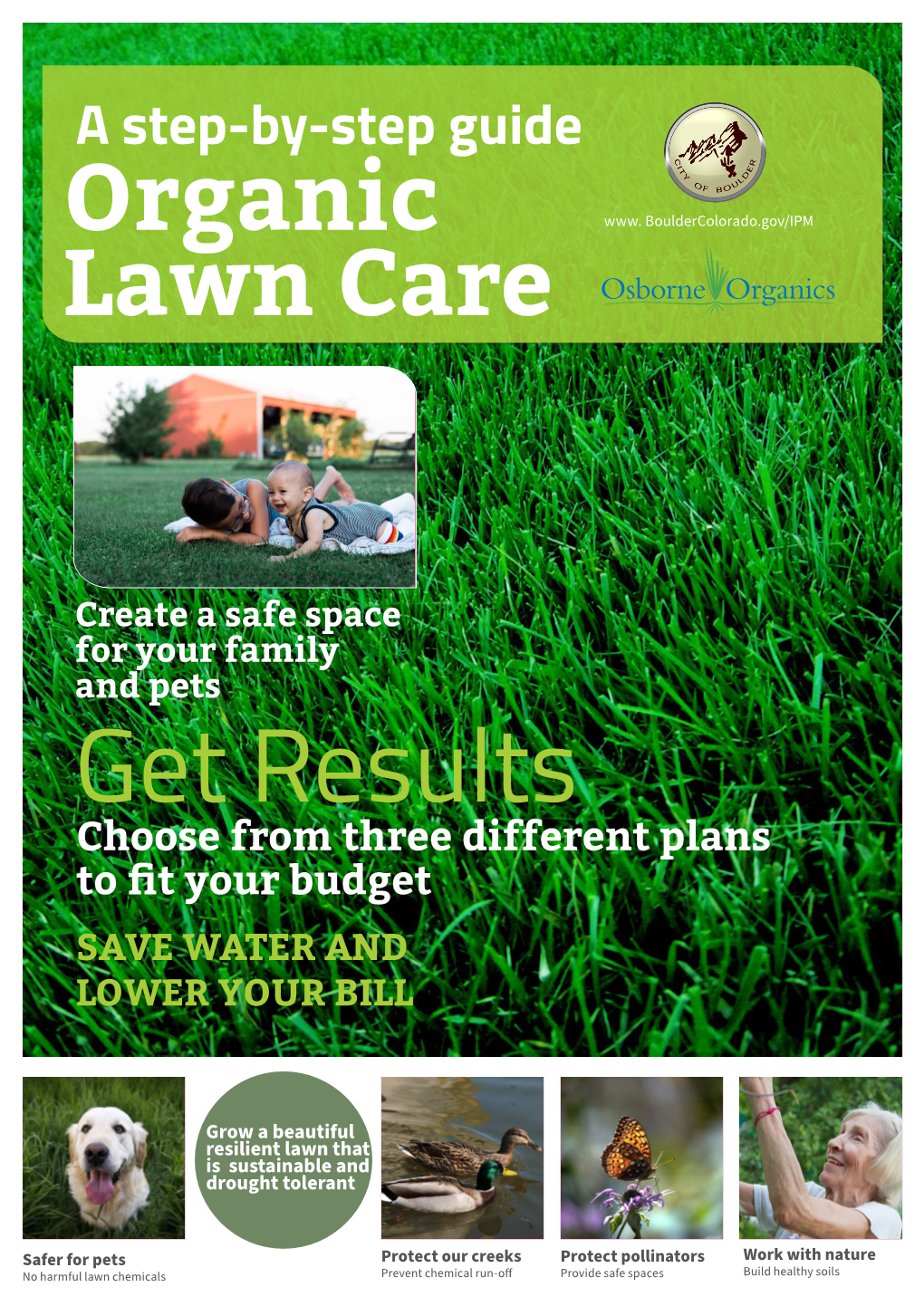 Organic Lawn Care