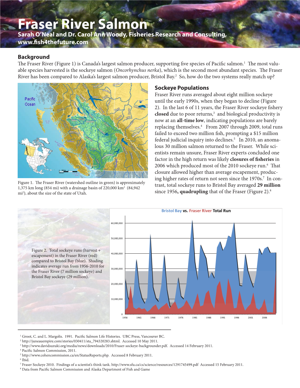 Fraser River Salmon Sarah O’Neal and Dr