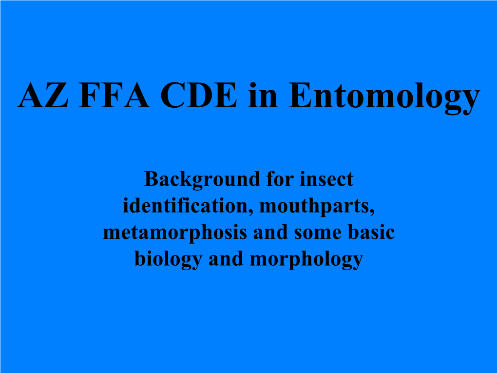 AZ FFA CDE in Entomology