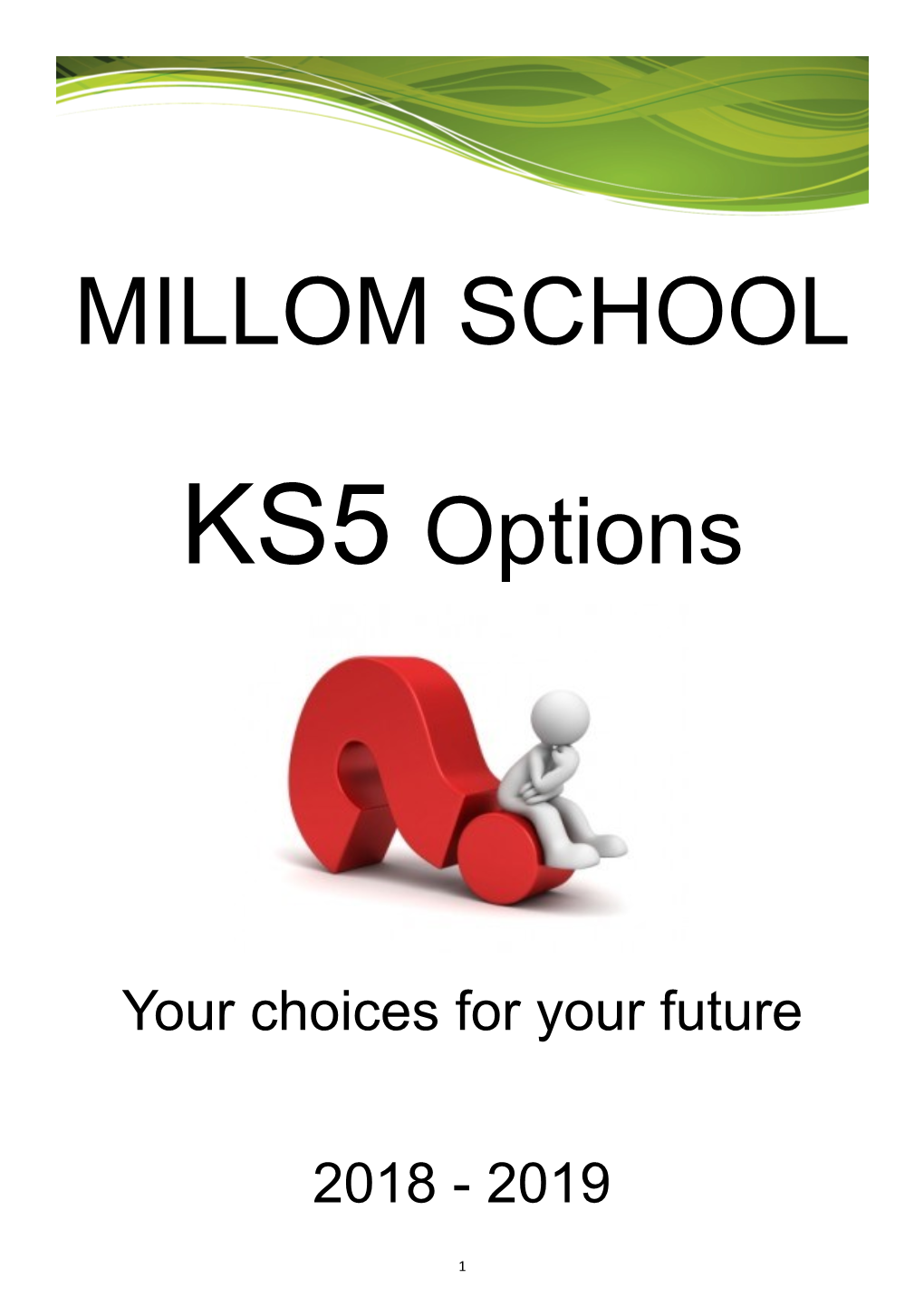KS5 Options MILLOM SCHOOL