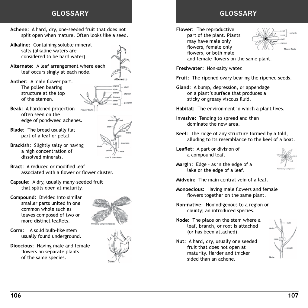 Glossary & Species Index: a Guide To