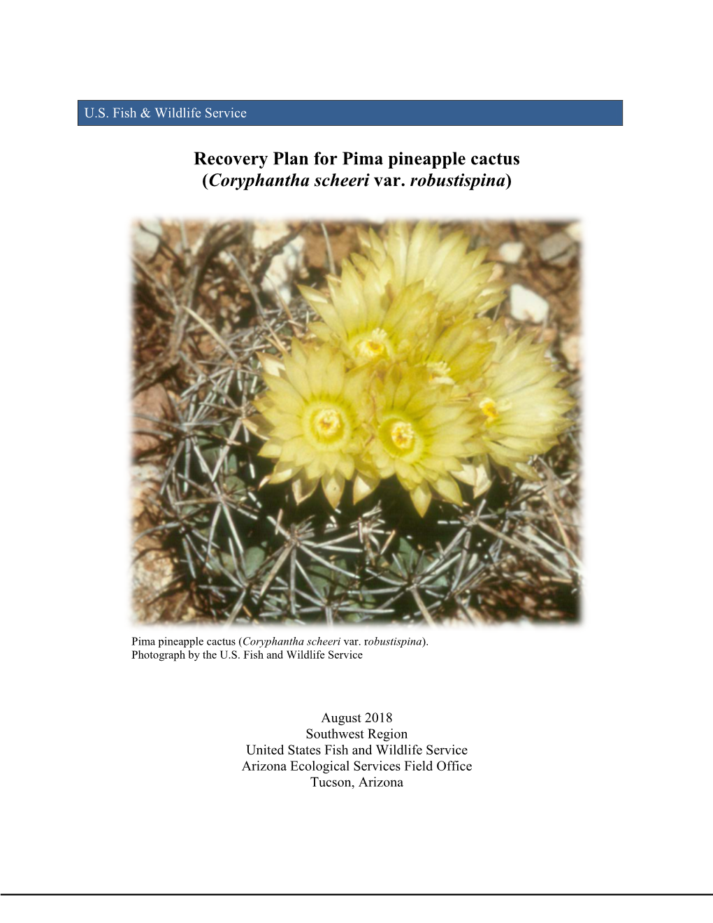 Recovery Plan for Pima Pineapple Cactus (Coryphantha Scheeri Var