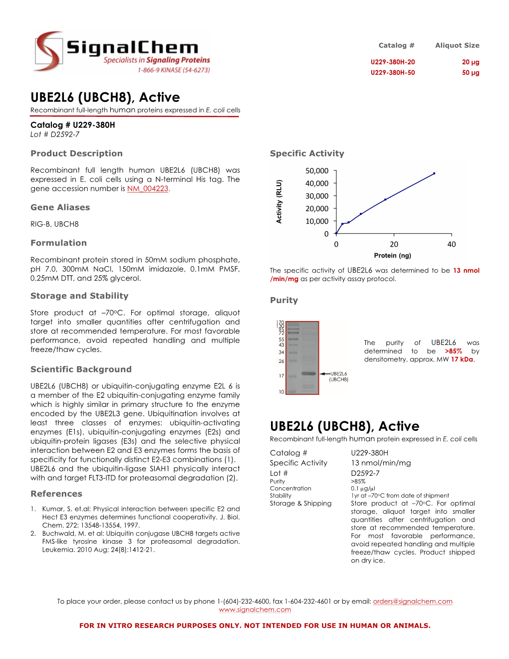 UBE2L6 (UBCH8), Active Recombinant Full-Length Human Proteins Expressed in E