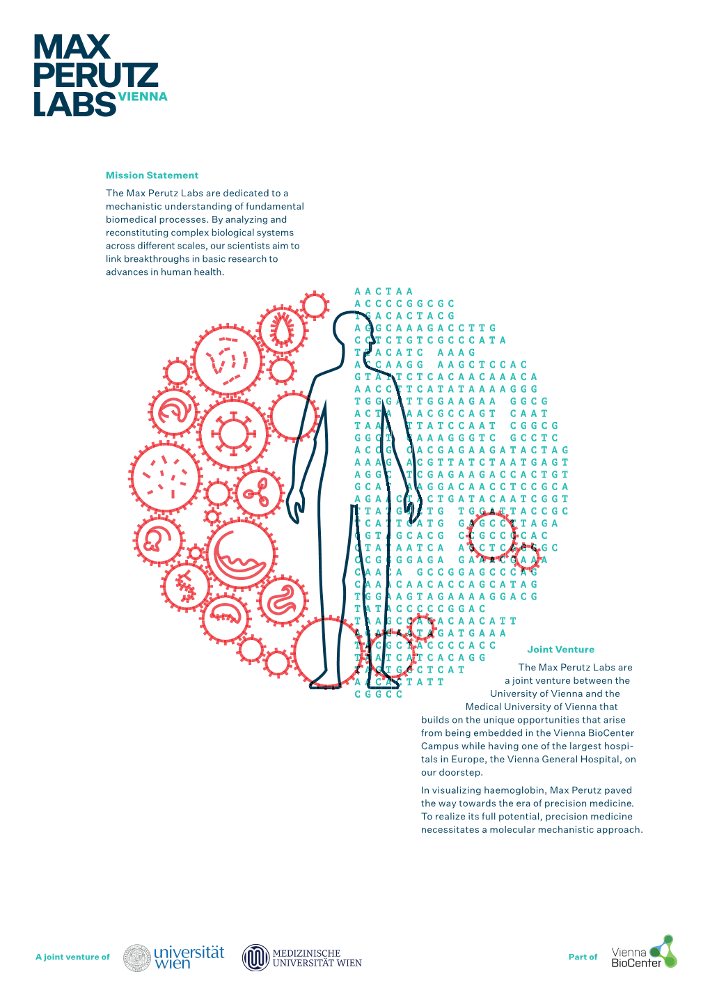 Factsheet Factsheet an Overview of the Max Perutz