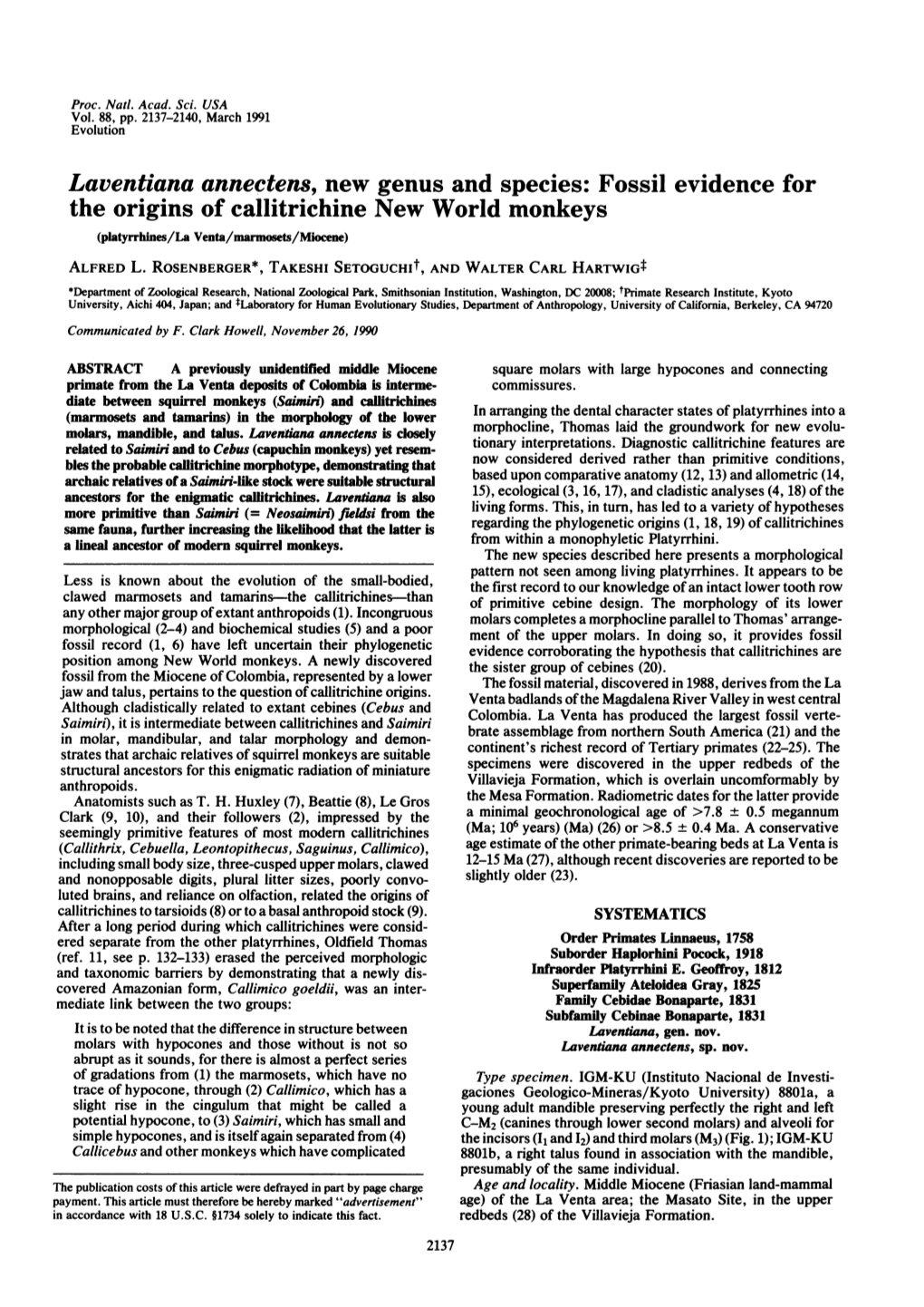 Fossil Evidence for the Origins of Callitrichine New World Monkeys (Platyrrhines/La Venta/Marmosets/Miocene) ALFRED L