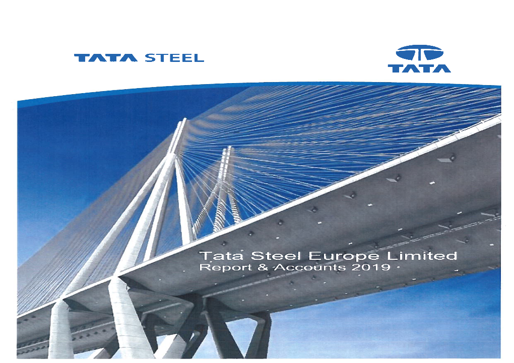 29-Tata-Steel-Europe-Accounts.Pdf