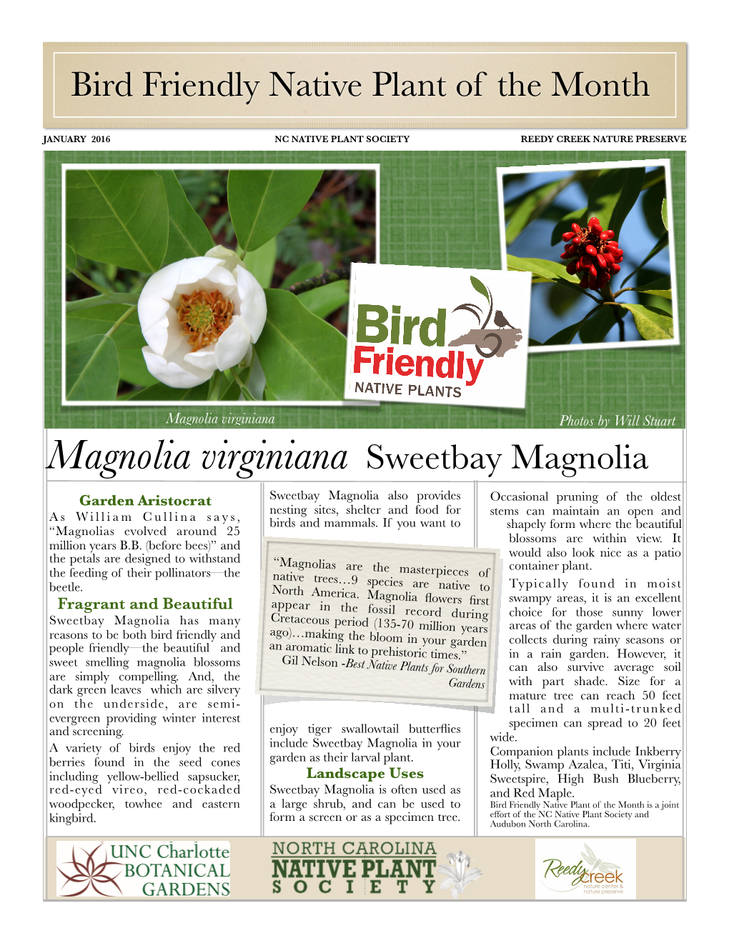 01-2016 January POM Flyer-Sweetbay Magnolia