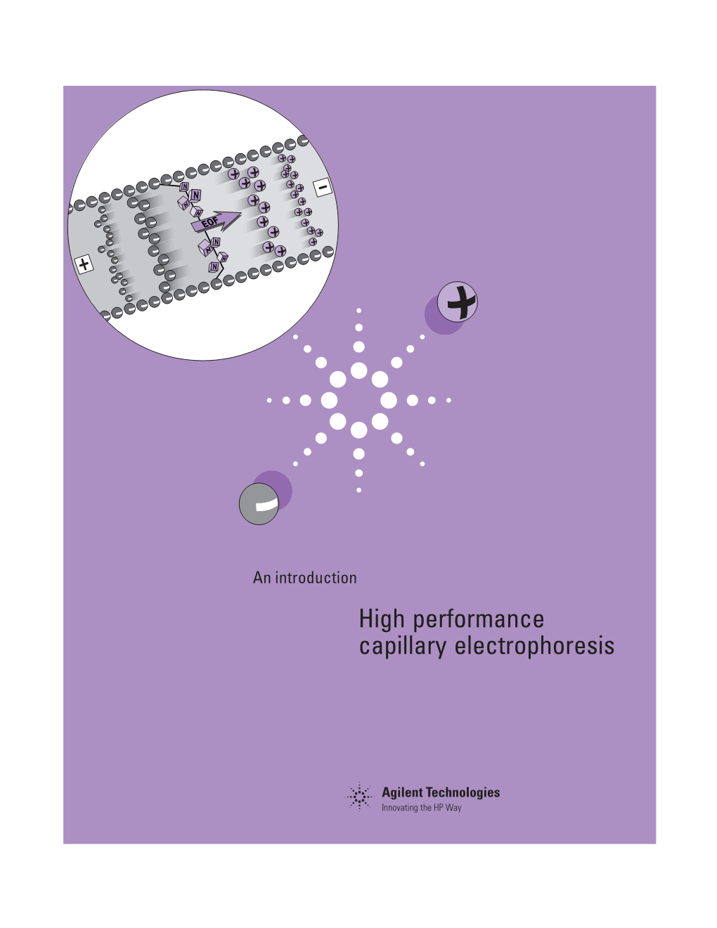 High Performance Capillary Electrophoresis-An Introduction
