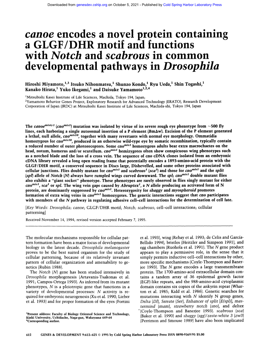 Canoe Encodes a Novel Protein Containing a GLGF/DHR Motif and Functions with Notch and Scabrous in Common Developmental Pathways in Drosophila