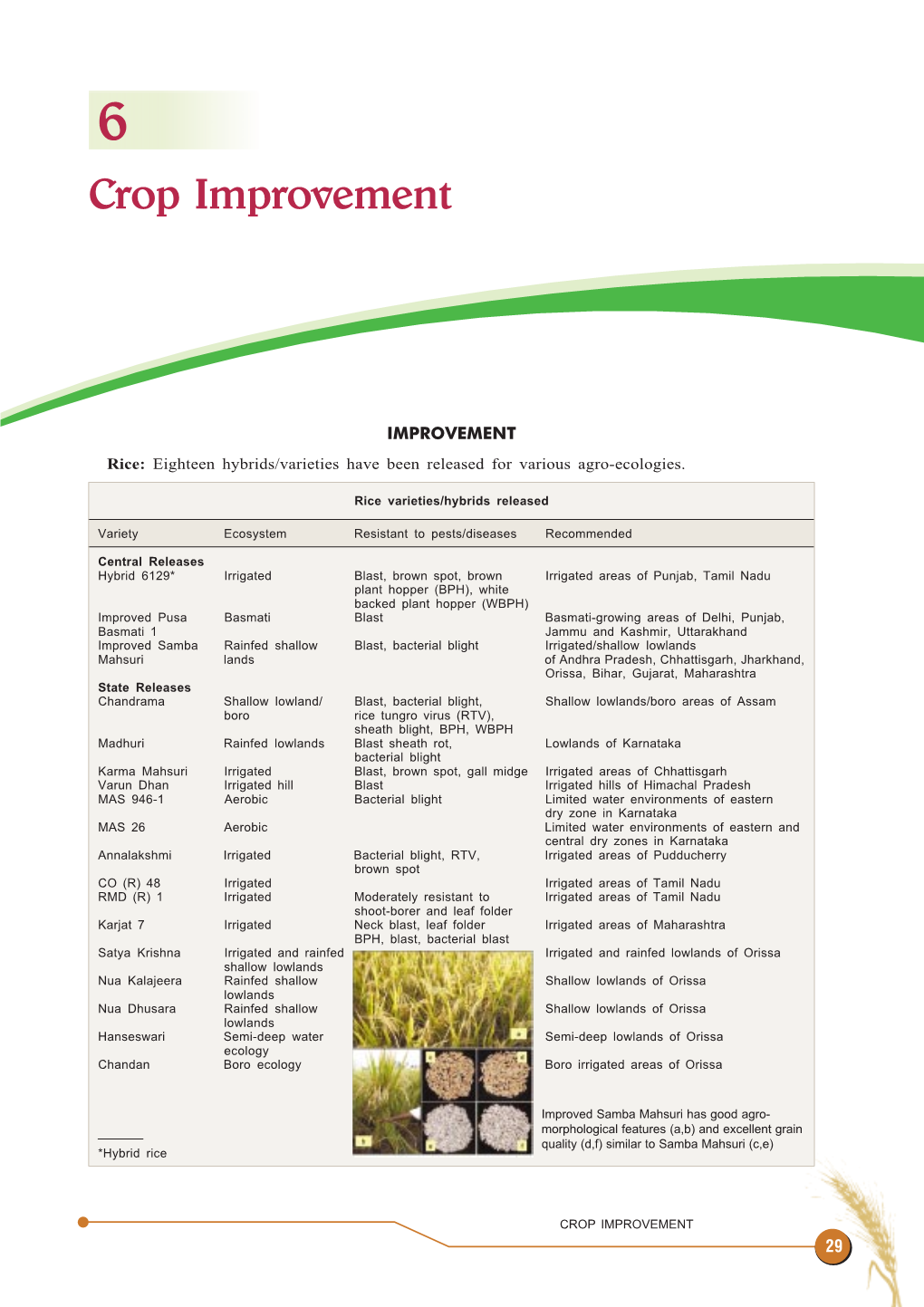 Crop Improvement