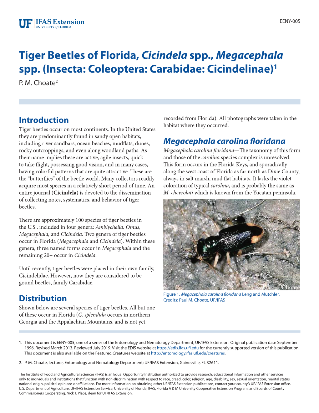 Tiger Beetles of Florida, Cicindela Spp., Megacephala Spp. (Insecta: Coleoptera: Carabidae: Cicindelinae)1 P