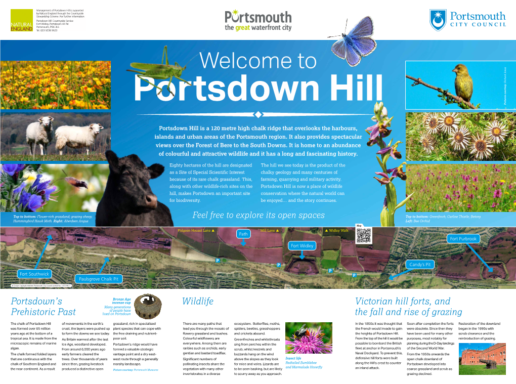 Portsdown Hill Is Supported by Natural England Through the Countryside Stewardship Scheme