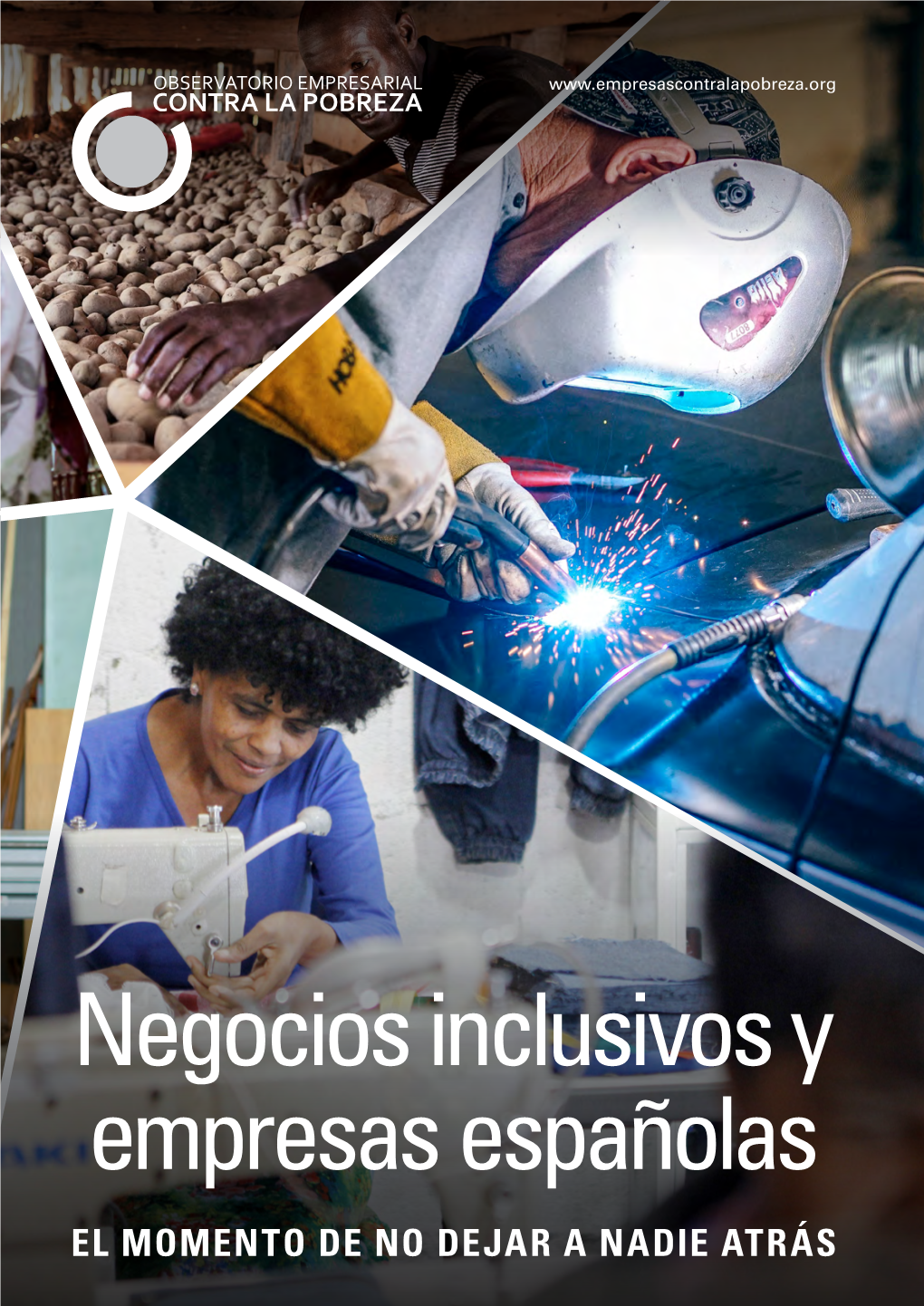 Negocios Inclusivos Y Empresas Españolas