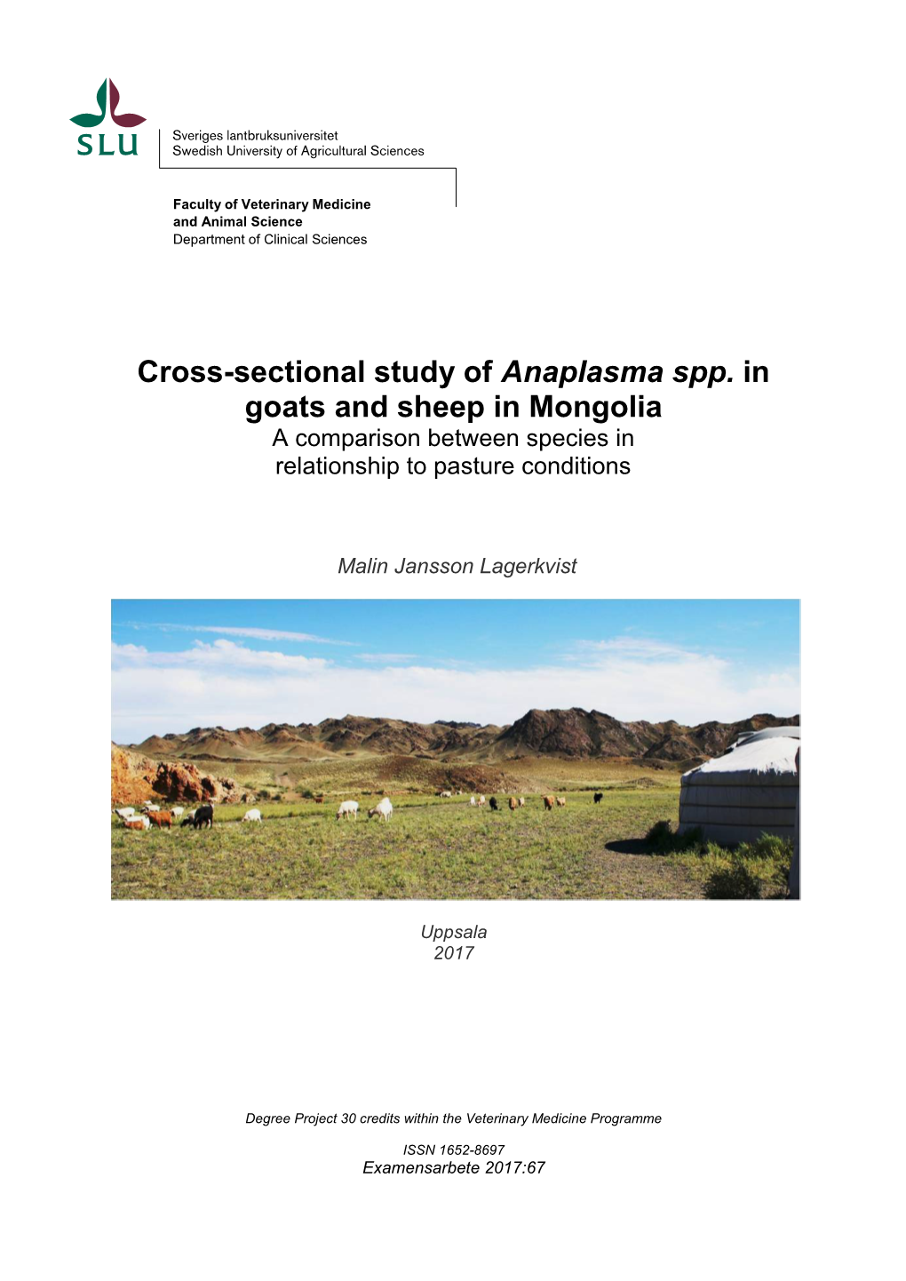 Cross-Sectional Study of Anaplasma Spp. in Goats and Sheep in Mongolia a Comparison Between Species in Relationship to Pasture Conditions