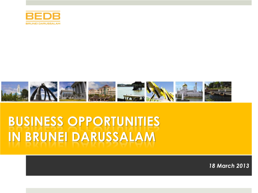 Business Opportunities in Brunei Darussalam