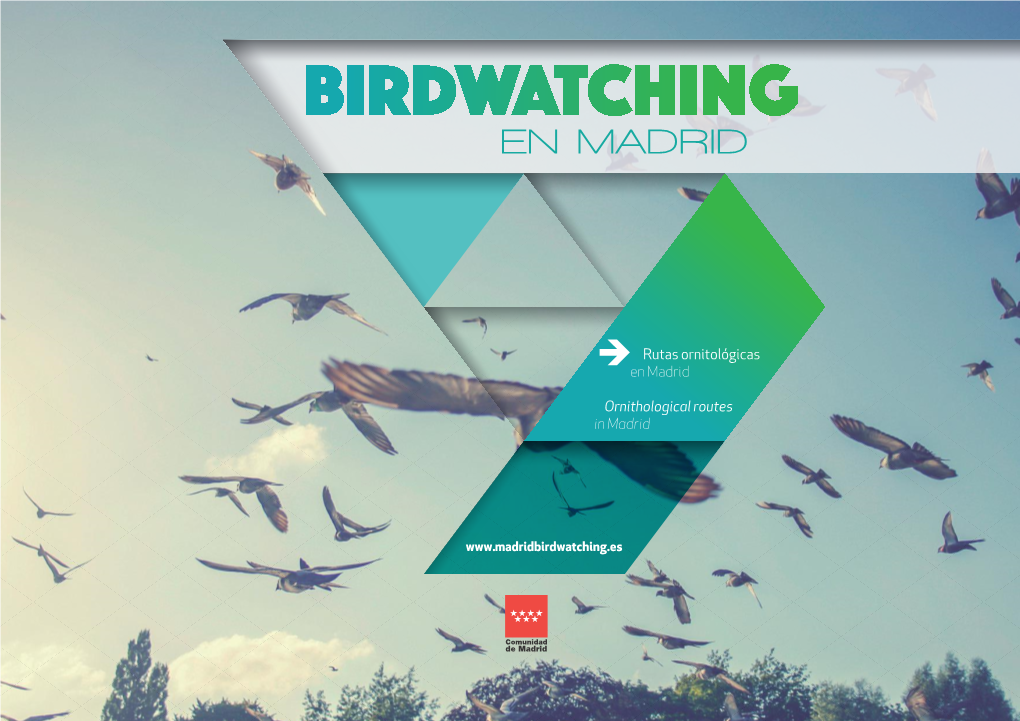 Birdwatching En Madrid
