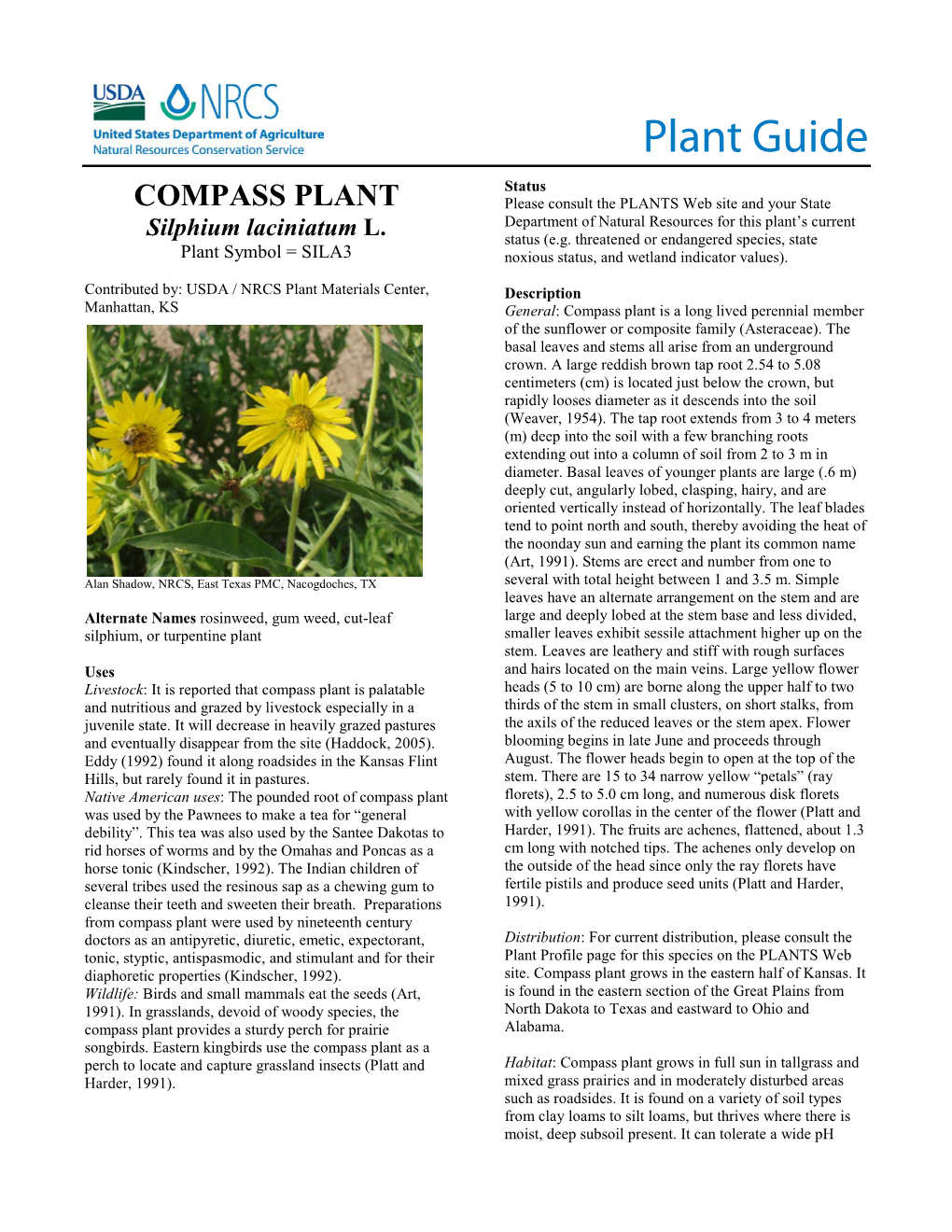 COMPASS PLANT Please Consult the PLANTS Web Site and Your State Department of Natural Resources for This Plant’S Current Silphium Laciniatum L