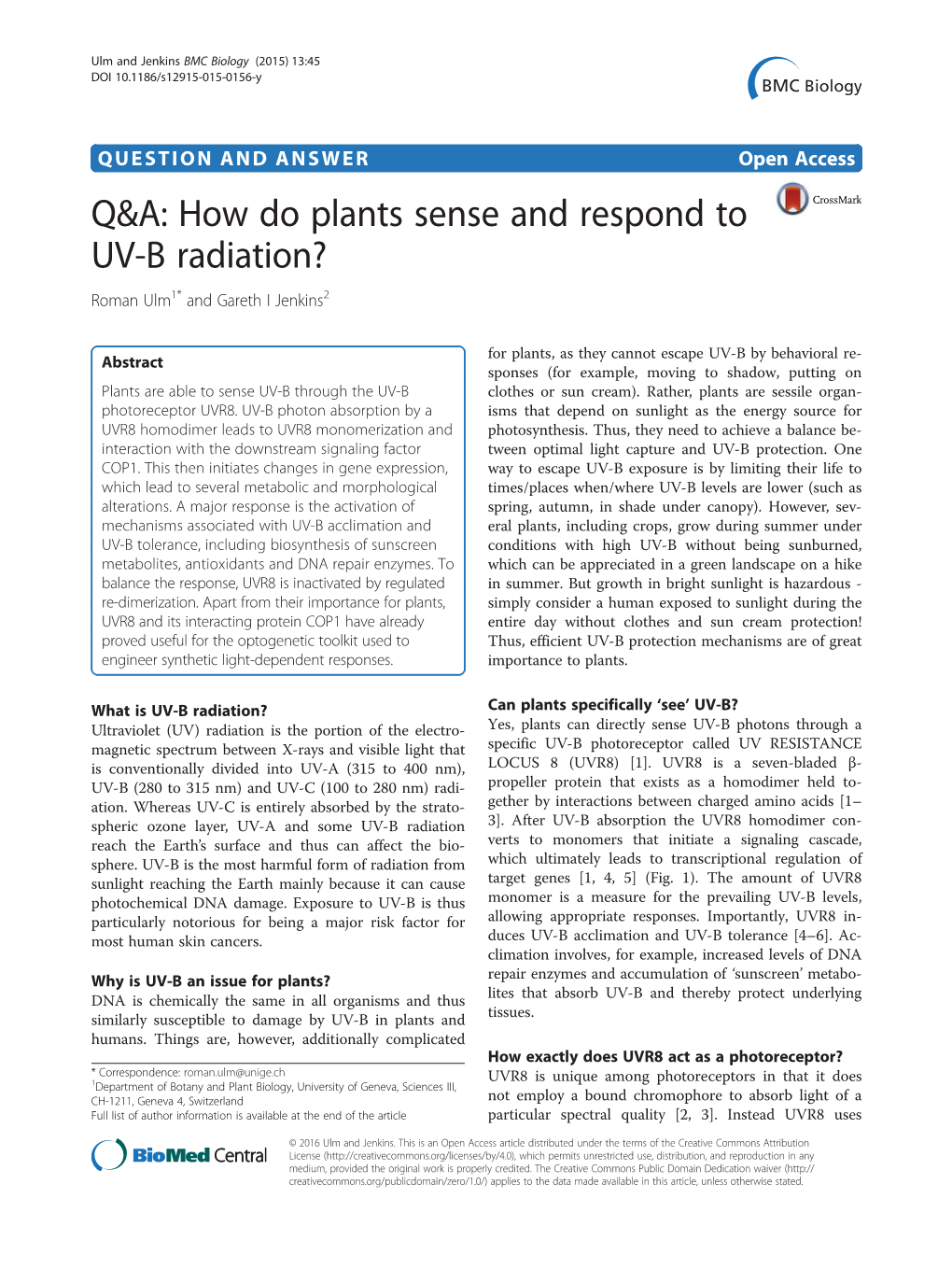 Q&A: How Do Plants Sense and Respond to UV-B Radiation?