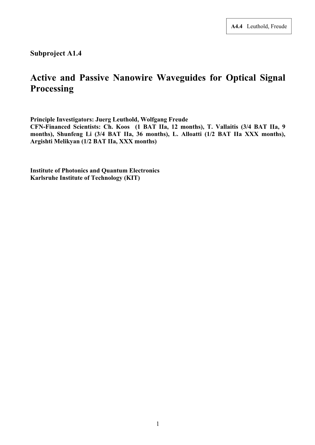 Active and Passive Nanowire Waveguides for Optical Signal Processing