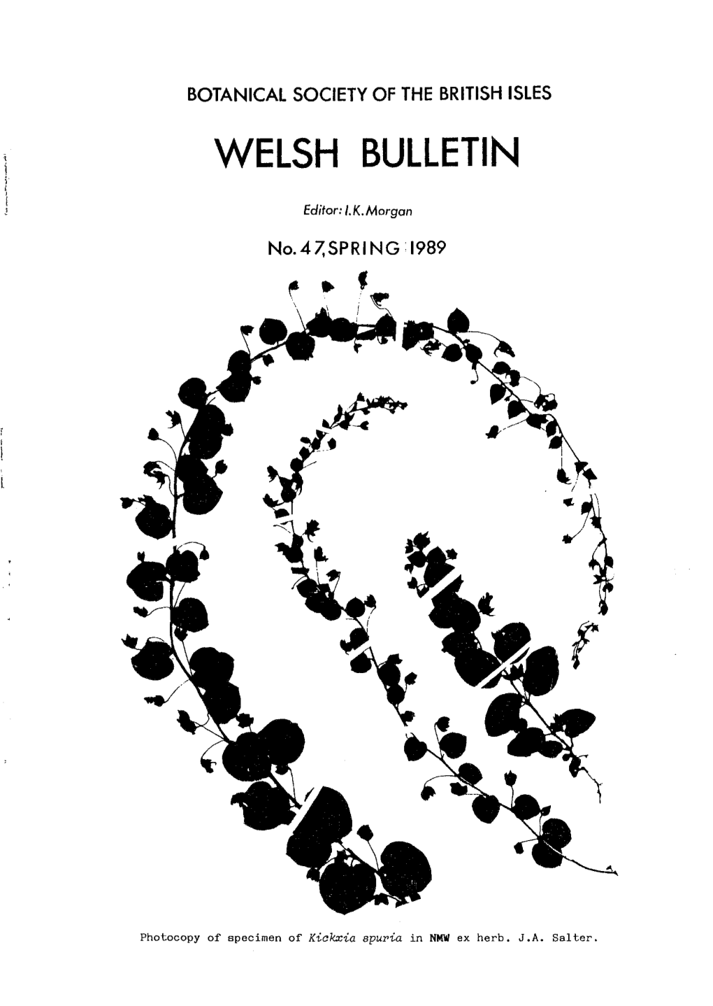 Welsh Bulletin