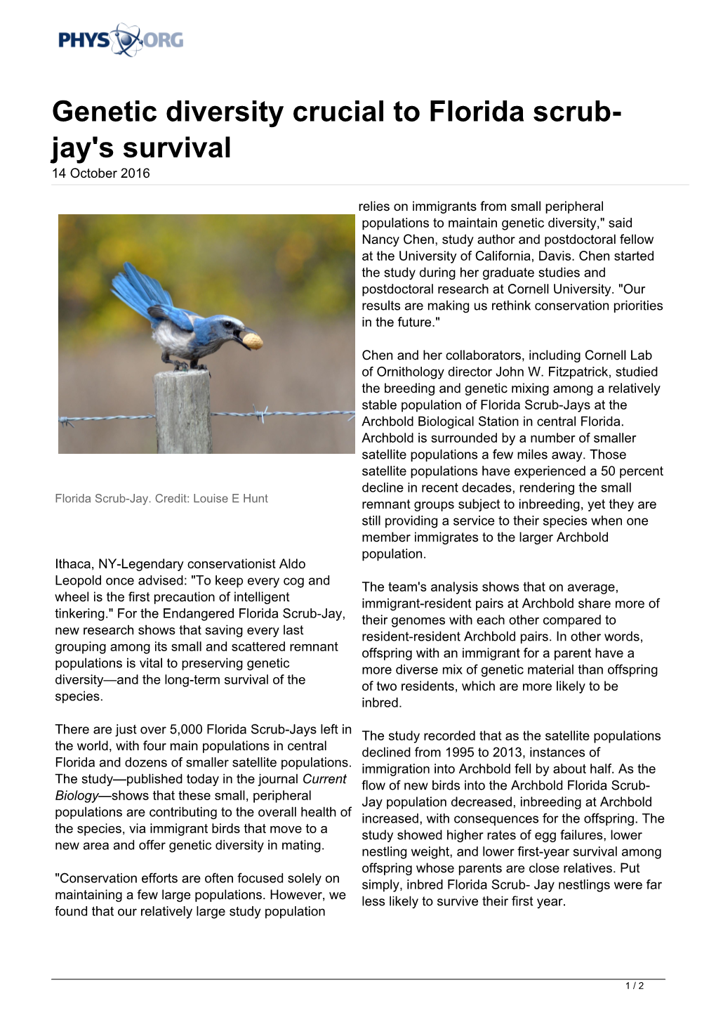 Genetic Diversity Crucial to Florida Scrub-Jay's Survival