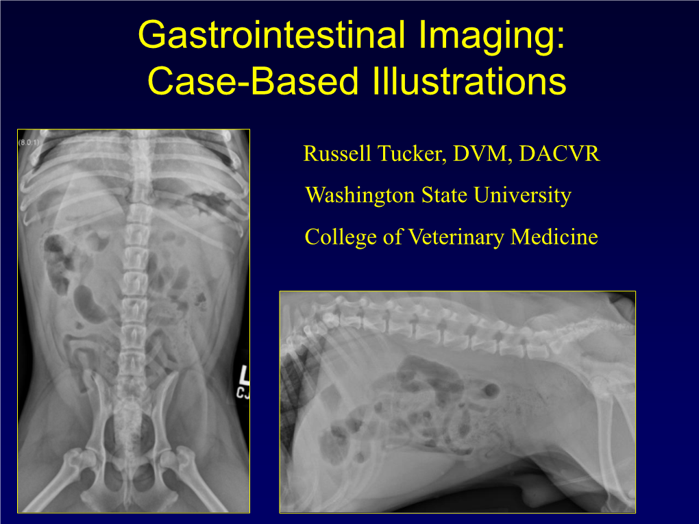 Gastrointestinal Tract