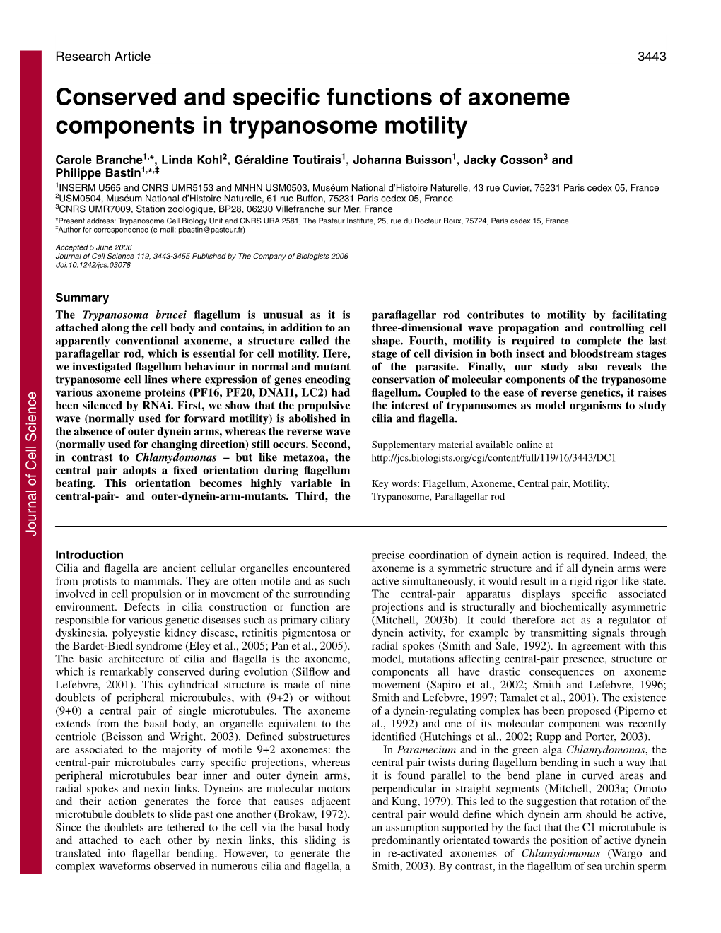 Conserved and Specific Functions of Axoneme Components In