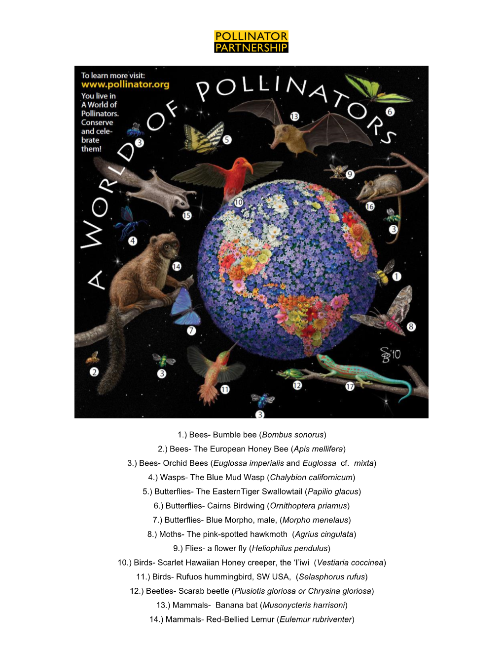 “A World of Pollinators” Poster