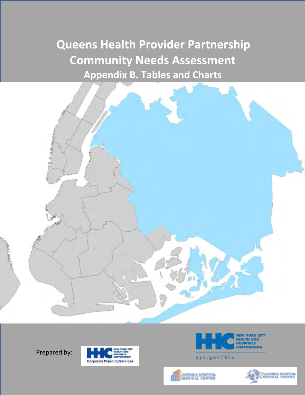 Bronx Community Health Needs Assessment