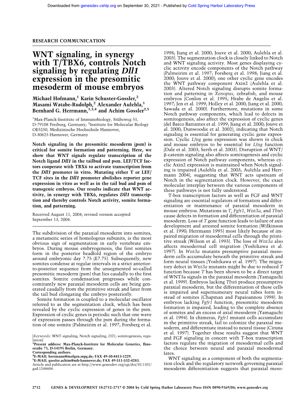 WNT Signaling, in Synergy with T/TBX6, Controls Notch Signaling by Regulating Dll1 Expression in the Presomitic Mesoderm of Mouse Embryos