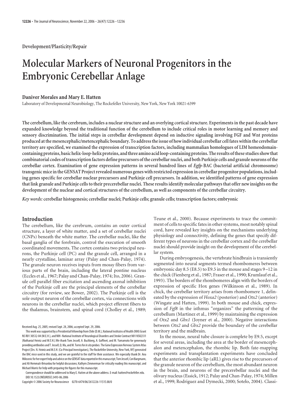 Molecular Markers of Neuronal Progenitors in the Embryonic Cerebellar Anlage