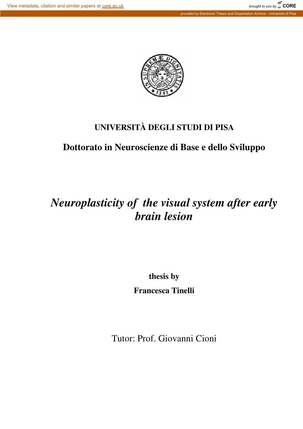 Neuroplasticity of the Visual System After Early Brain Lesion