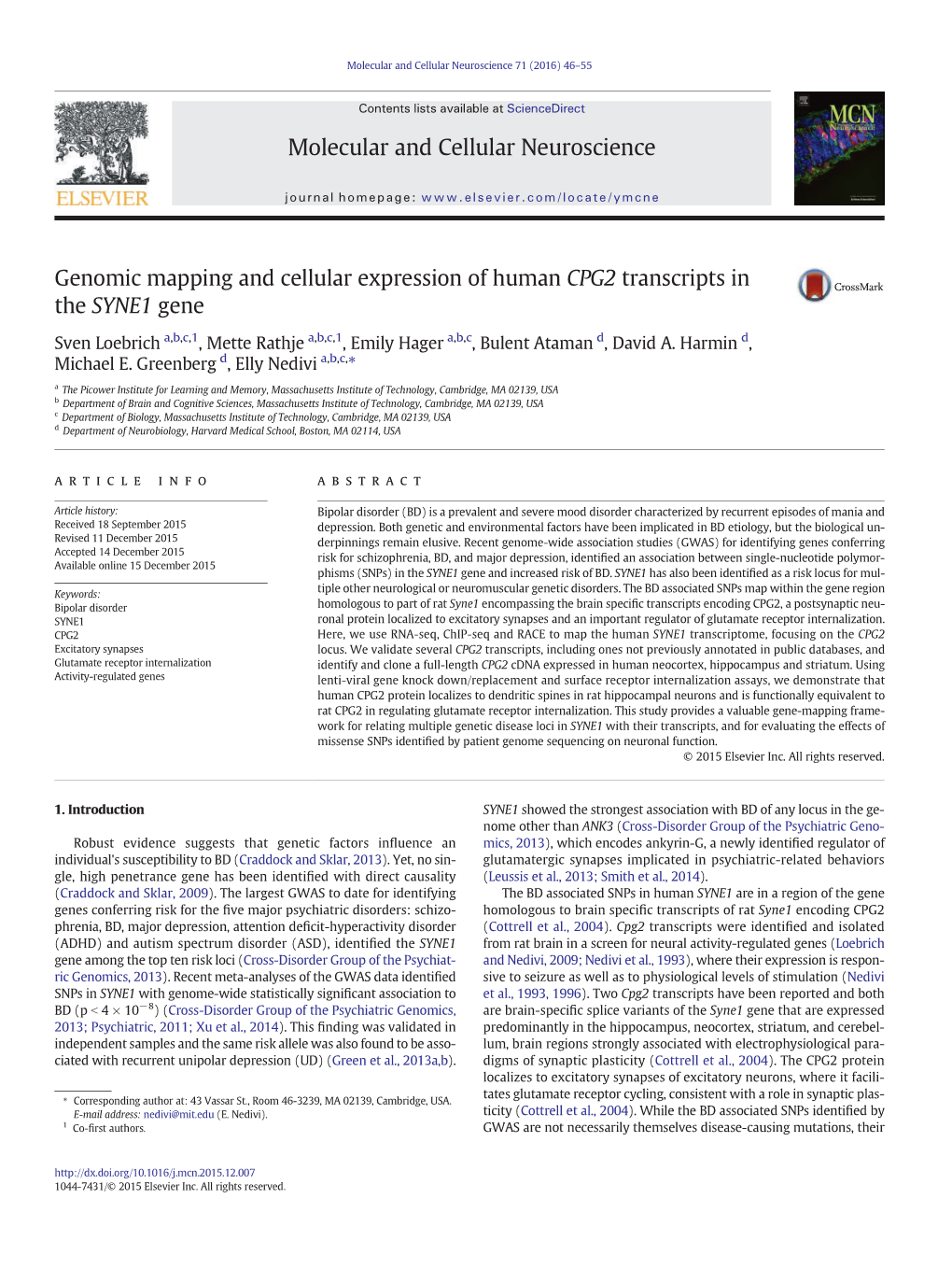 Genomic Mapping and Cellular Expression of Human CPG2 Transcripts in the SYNE1 Gene