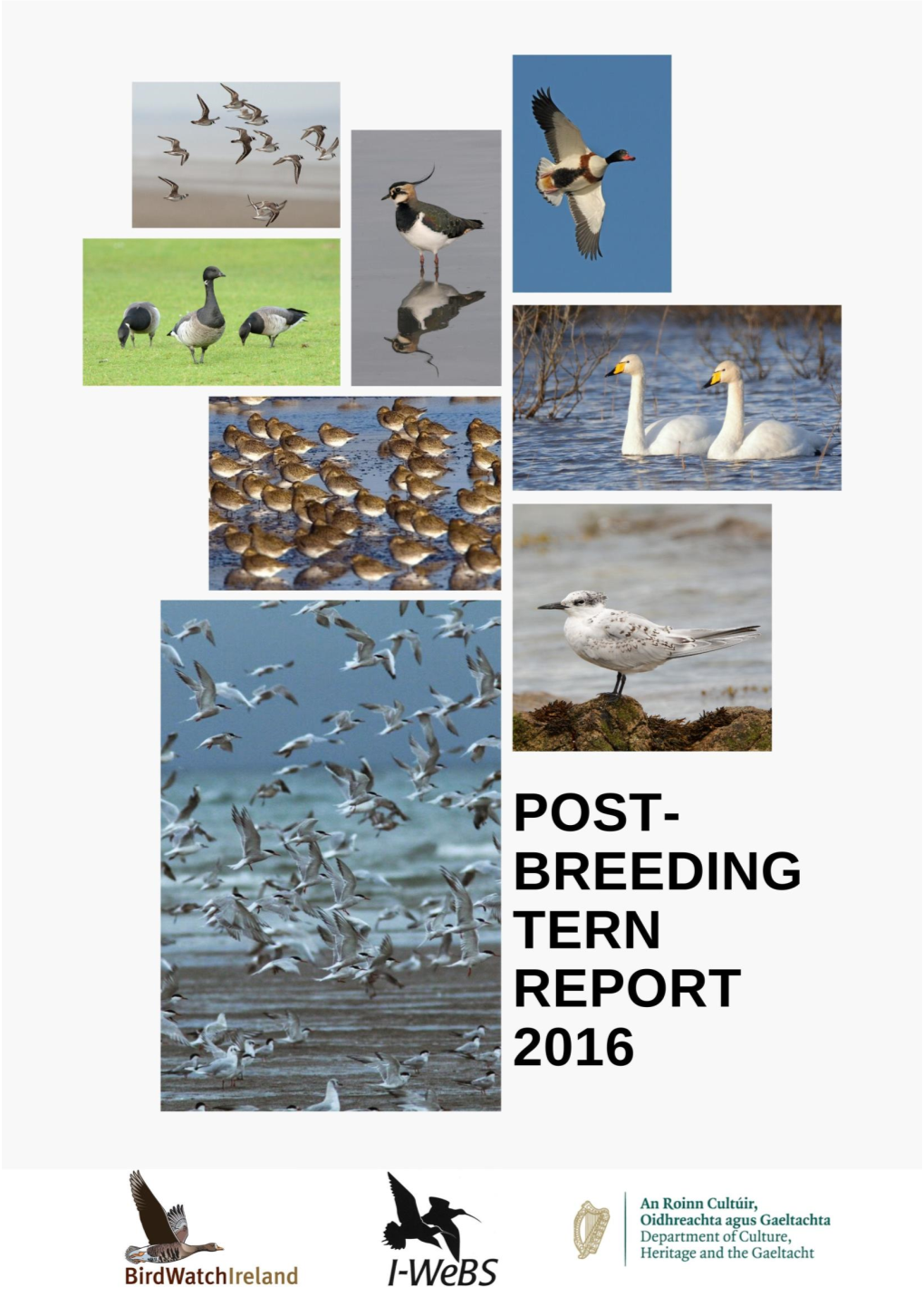 180223 Post-Breeding-Terns-2016 Finaldraft-Newformat2020.Pdf