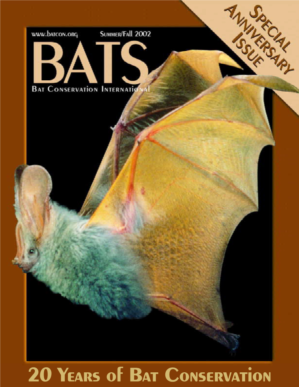 BATS SUMMER-FALL 02Inside