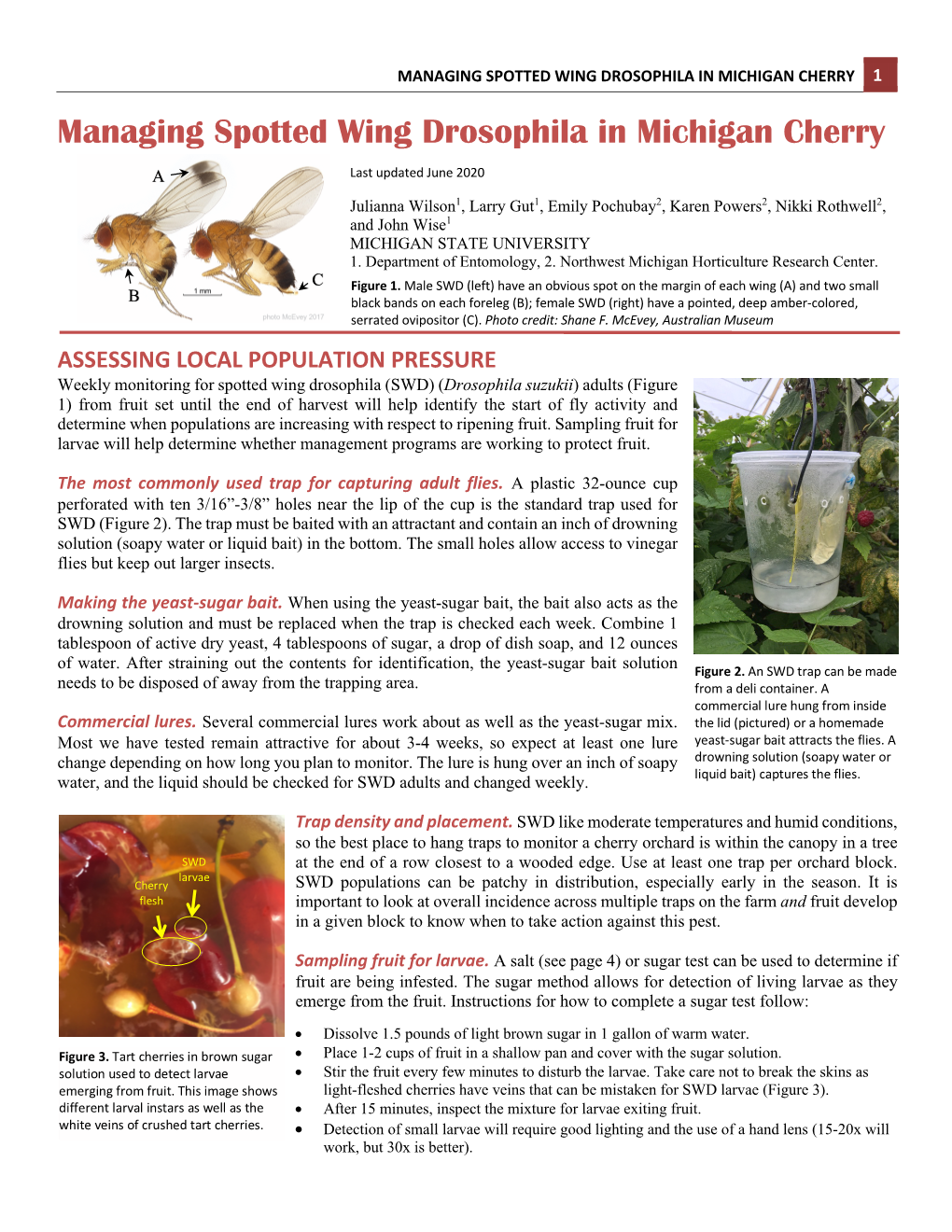 Managing Spotted Wing Drosophila in Michigan Cherry 1