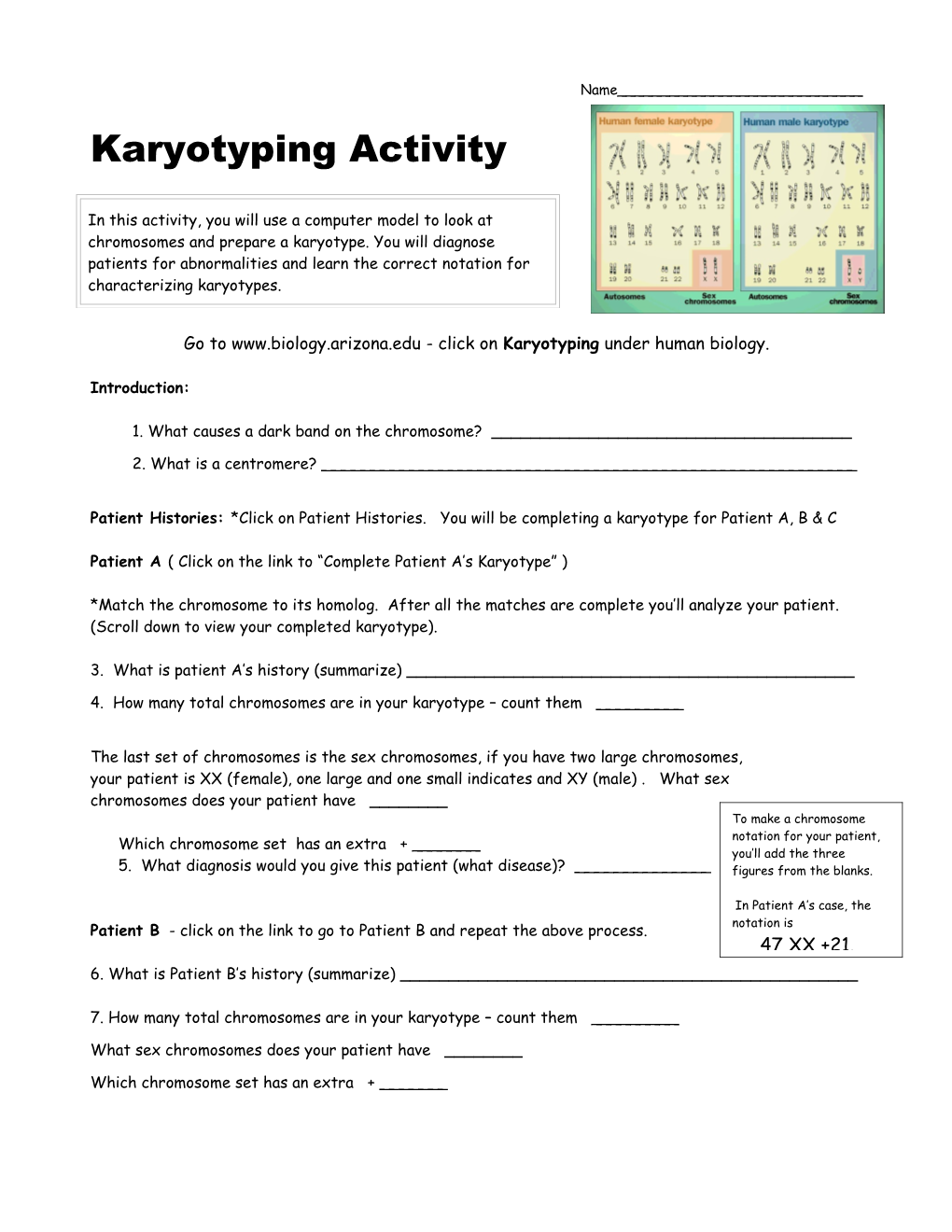Karyotyping Activity