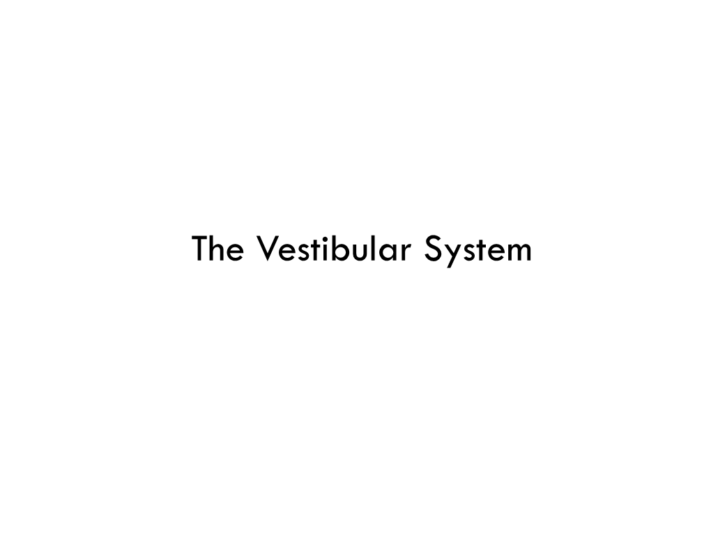 Vestibular System Magnus, 1922