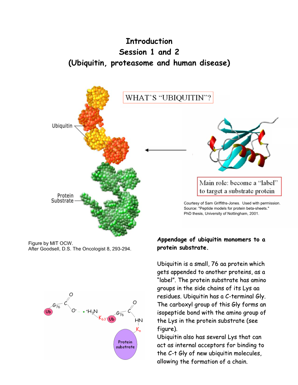 Ubiquitin, Proteasome and Human Disease)