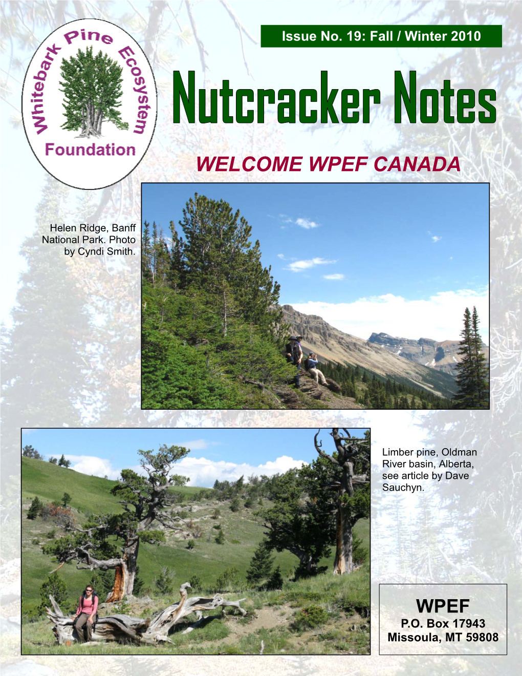 Nutcracker Notes, Issue No