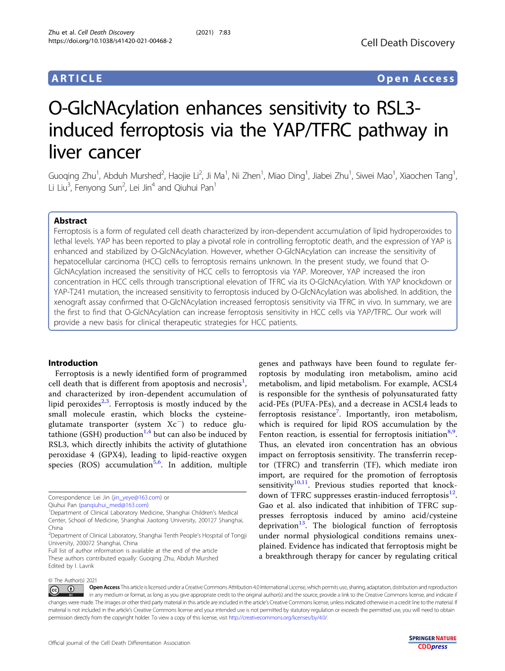 O-Glcnacylation Enhances Sensitivity to RSL3-Induced Ferroptosis Via the YAP/TFRC Pathway in Liver Cancer