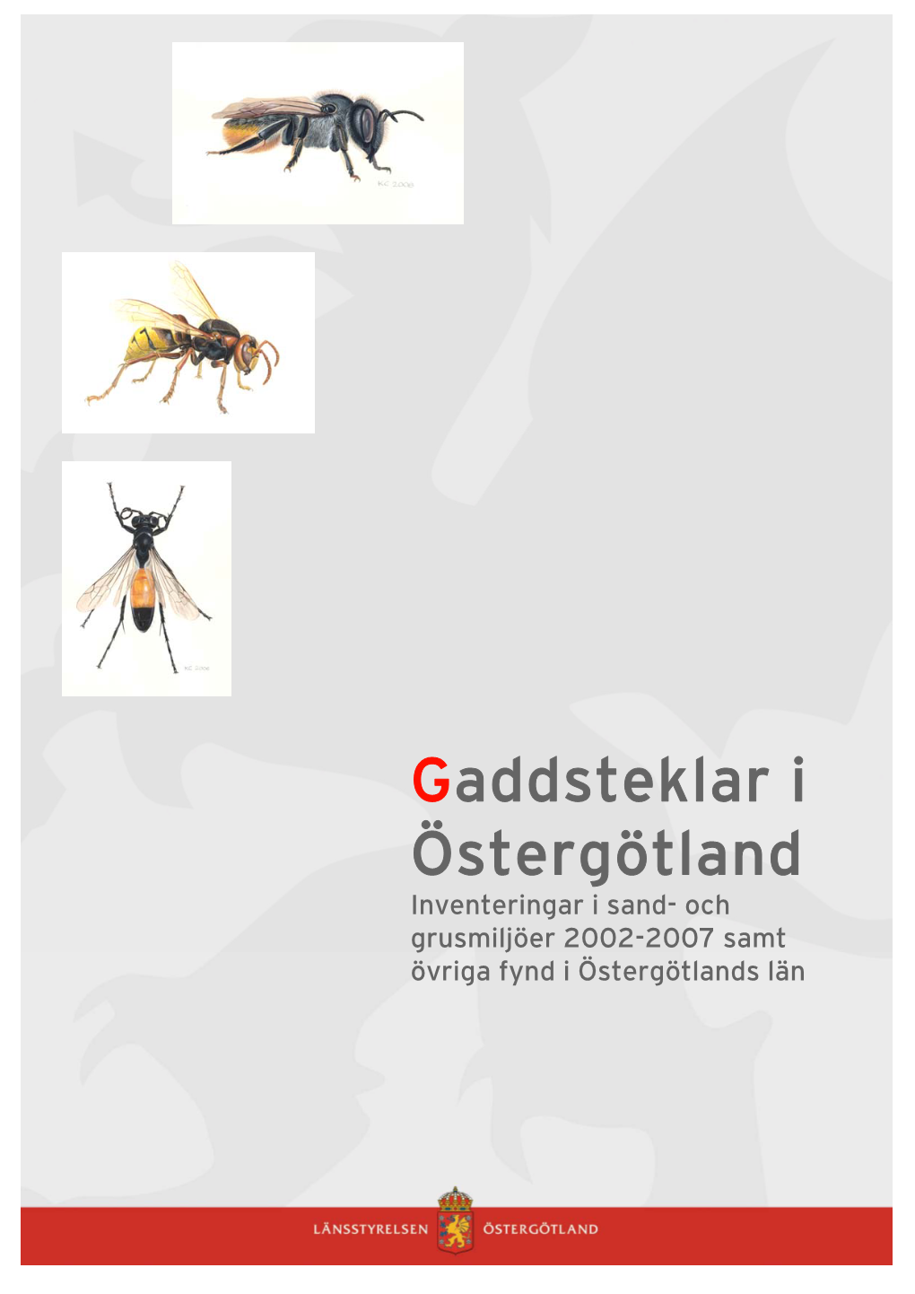 Gaddsteklar I Östergötland – Inventeringar I Sand- Och Grusmiljöer 2002-2007 Samt Övriga Fynd I Östergötlands Län