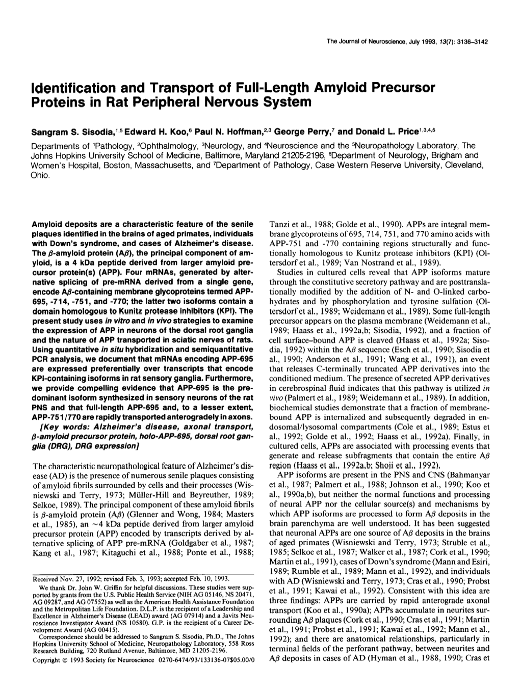 Identification and Transport of Full-Length Amyloid Precursor Proteins in Rat Peripheral Nervous System