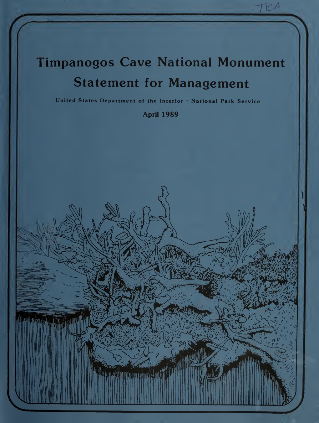 Timpanogos Cave National Monument Statement for Management