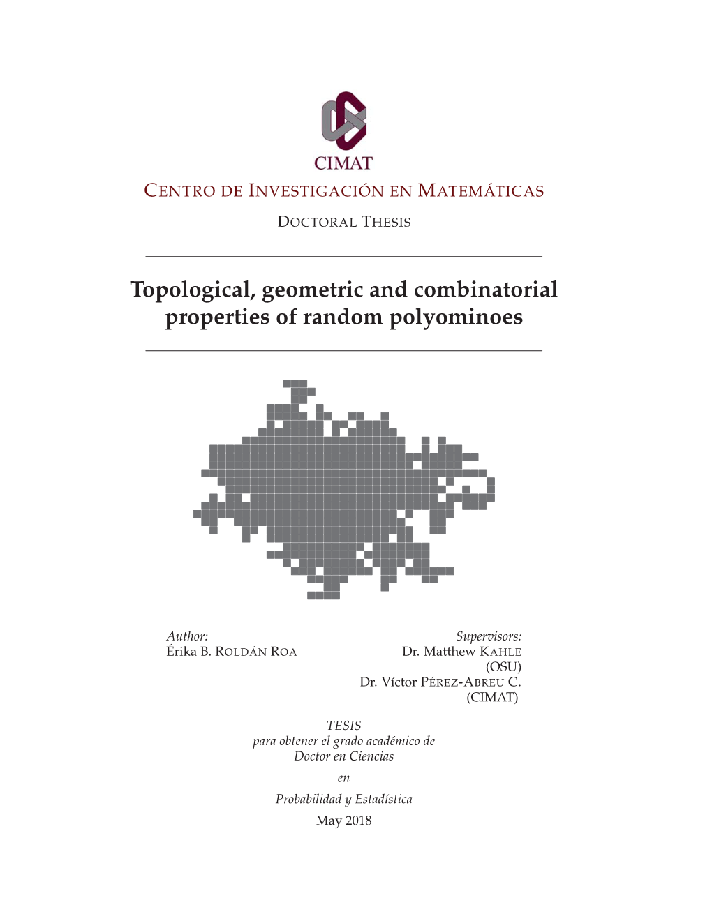Topological, Geometric and Combinatorial Properties of Random Polyominoes