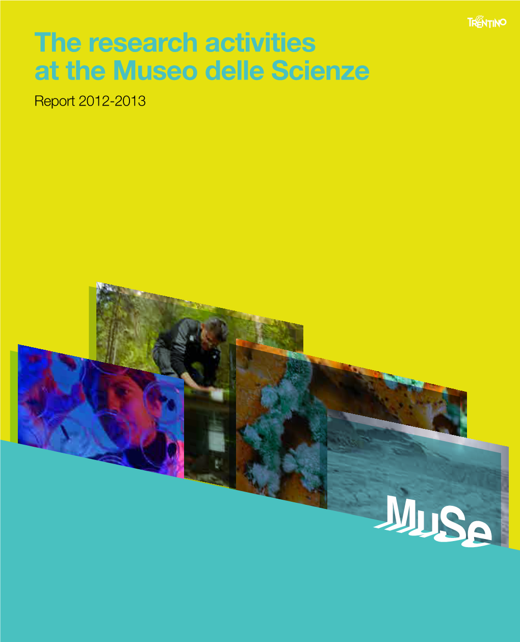 The Research Activities at the Museo Delle Scienze
