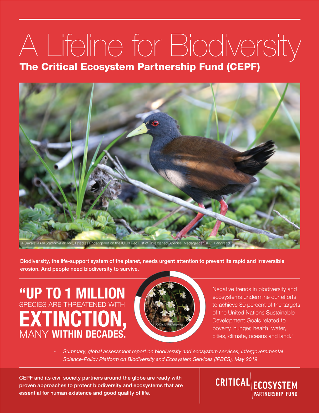 Lifeline for Biodiversity the Critical Ecosystem Partnership Fund (CEPF)